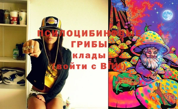 PSILOCYBIN Армянск