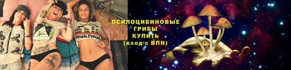 спиды Арсеньев