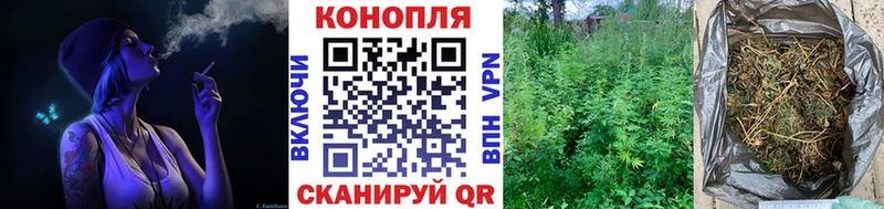 Конопля тримм  Чудово 